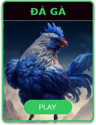 Sảnh cược đá gà 99ok